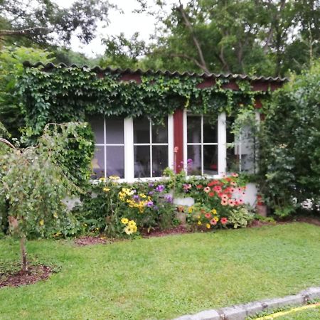 Ferienhaeuschen Gruber Villa Loosdorf ภายนอก รูปภาพ